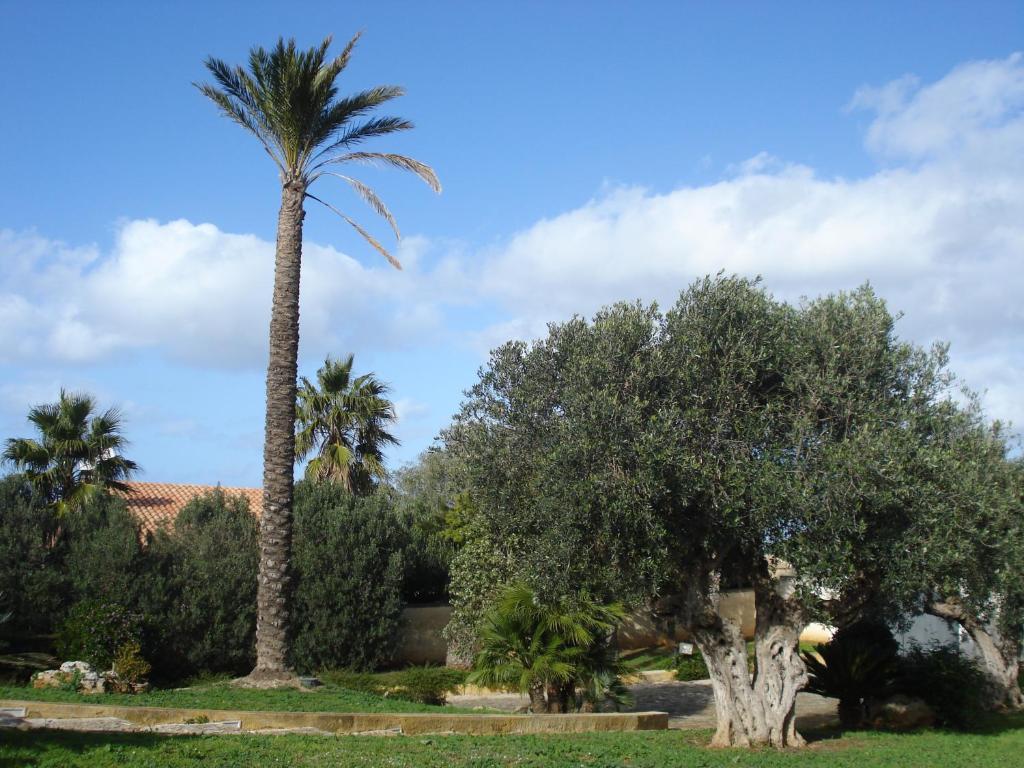 Villa Carlo Resort Marsala Dış mekan fotoğraf